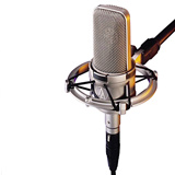 Audio-Technica AT4047SVSM Cardioid Condenser Microphone