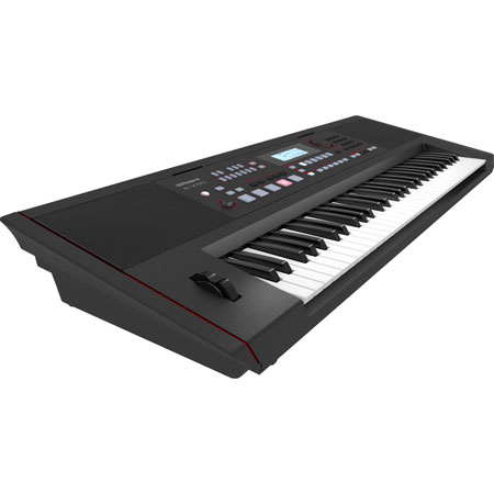 Roland E-X50 Expandable Arranger Keyboard